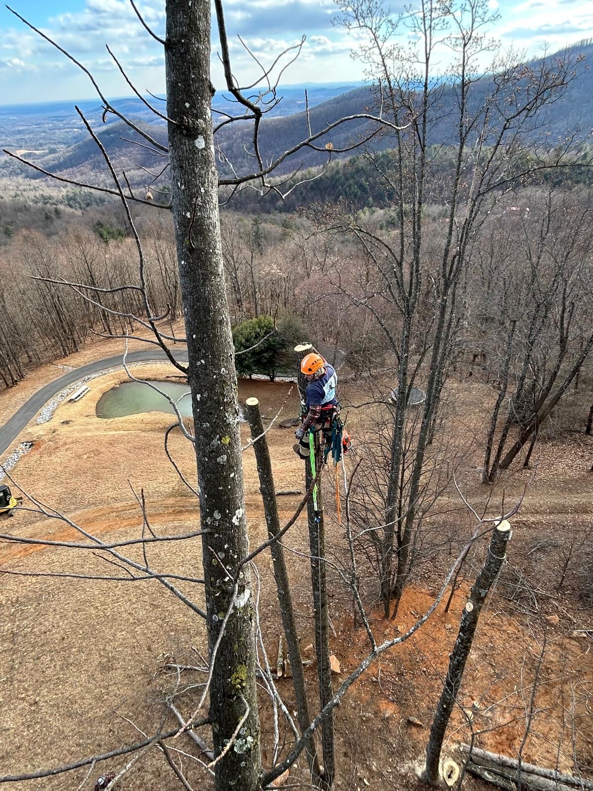 River Birch Tree Service serving Deep Gap, NC