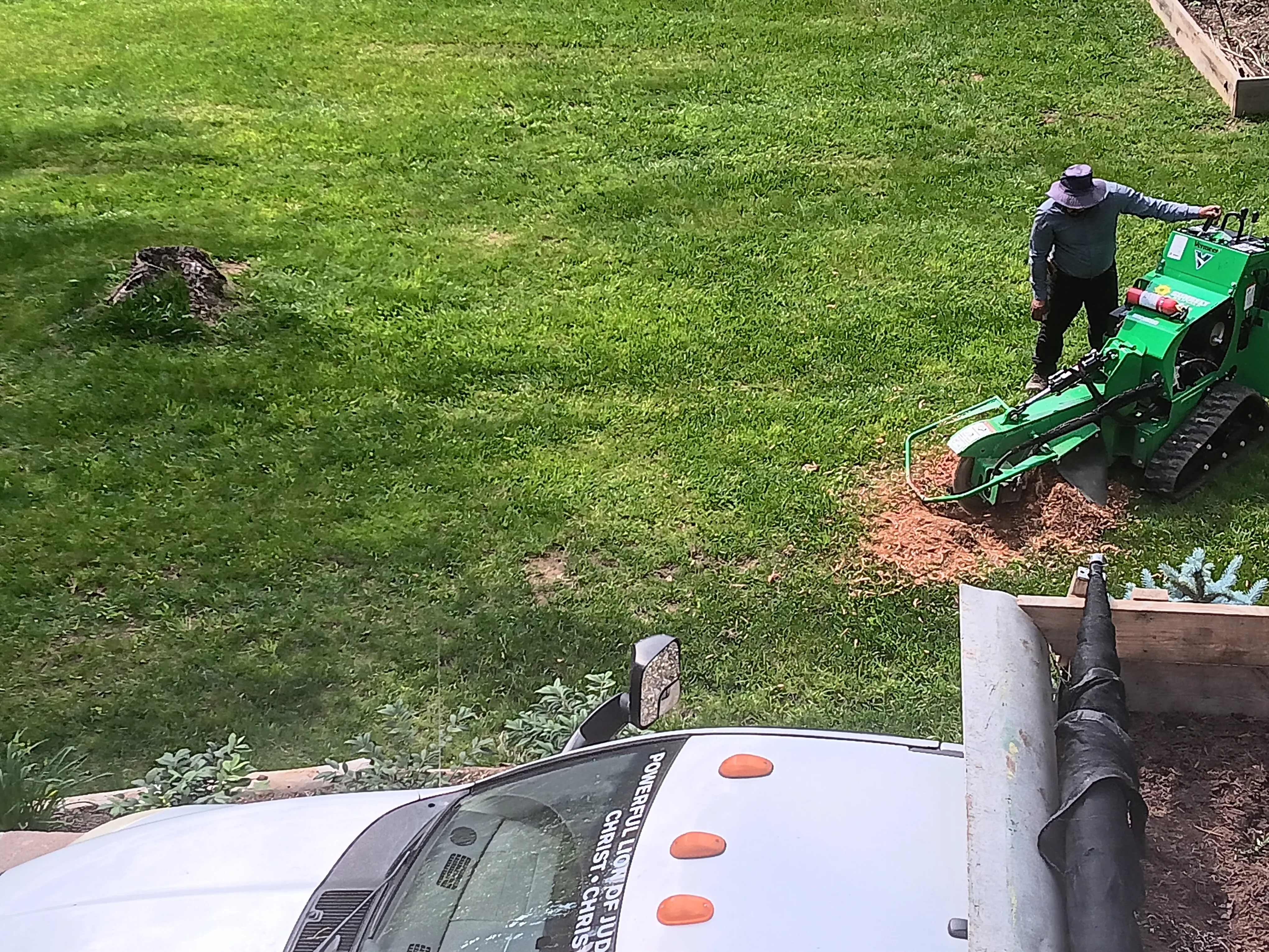 River Birch stump grinding on a lawn in Boone, NC